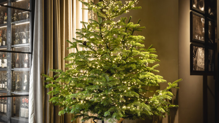 Christmas Tree